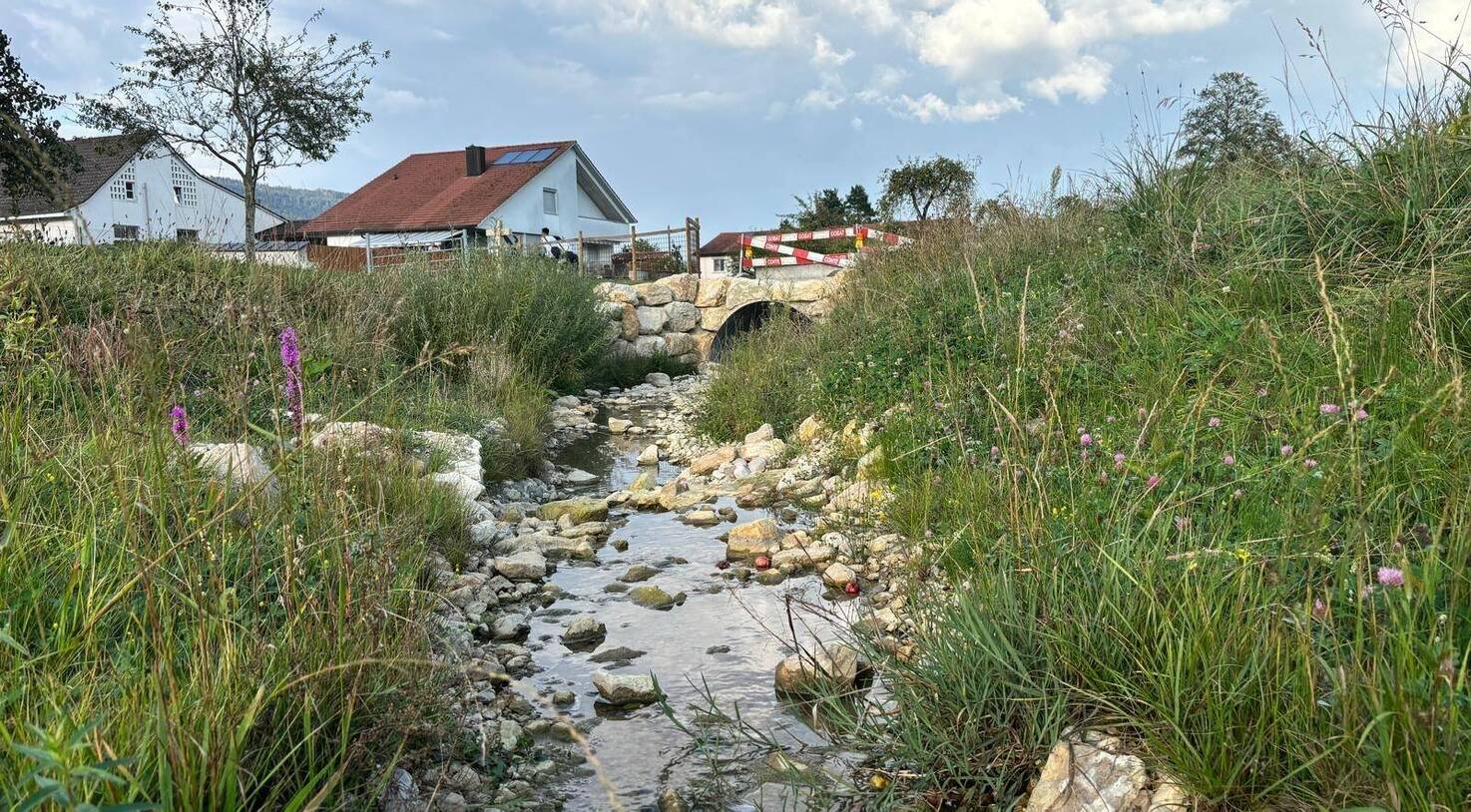 PROVITA II - BETTERATTE AMONT - DEVELIER