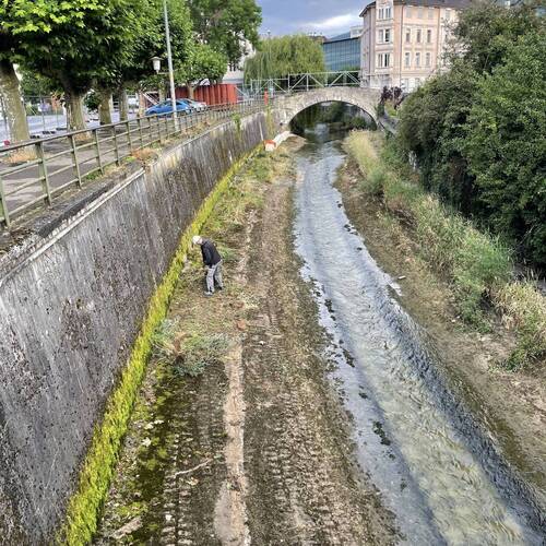 Description de l'image
