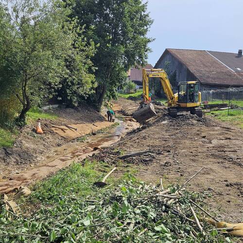 Description de l'image