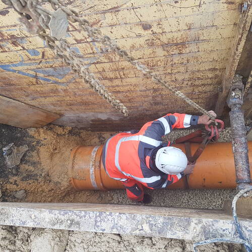 Description de l'image